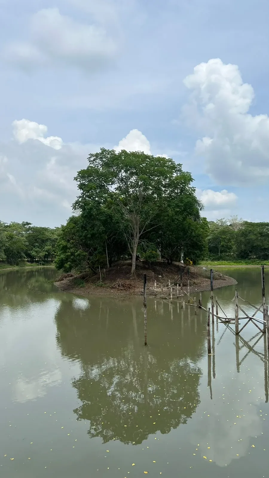 Lago con isla arbolada y muelle de madera en Villa Paraíso